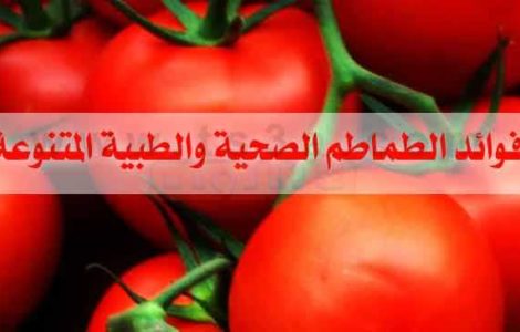 فوائد الطماطم فائدة الطماطم البندورة عصير الطماطم