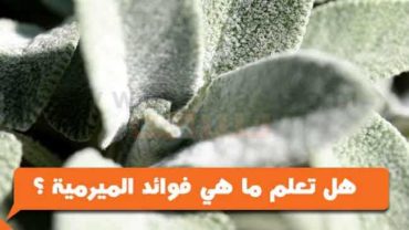 هل تعلم ما هي فوائد الميرمية او المرامية