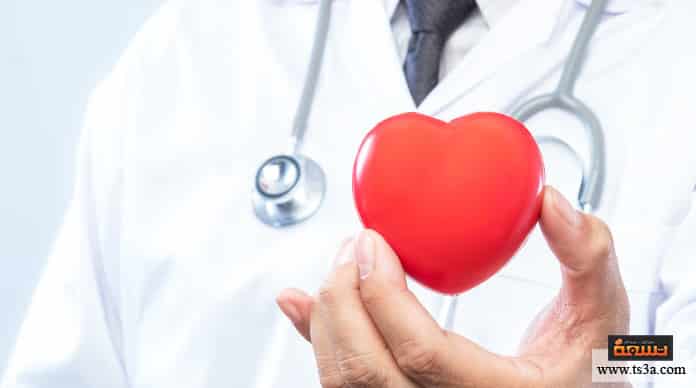 مكونات قلب الإنسان وأهم التمارين لتقوية عضلة القلب مجلة رجيم